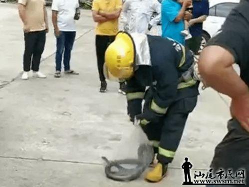 公平镇最新爆料,揭秘神秘事件背后的真相 第2张 公平镇最新爆料,揭秘神秘事件背后的真相 第2张