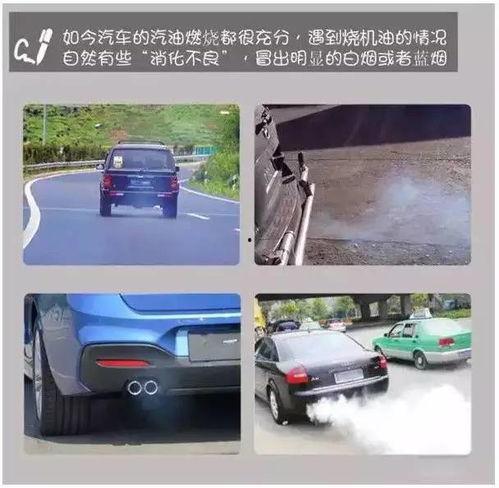 烧机油车主爆料视频,烧机油现象揭秘，视频曝光惊人真相